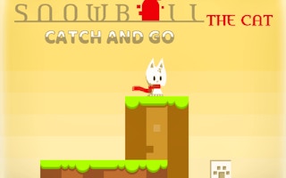 Snowball the Cat: Catch and Go Runner