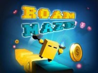 Roam Maze Puzzle Adventure