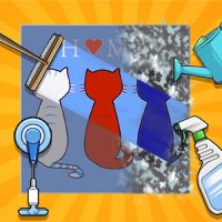 Tidy Queens Room Cleanup