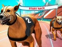 Dog Racing Arcade Challenge