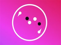 Spin Wheel Casual Game