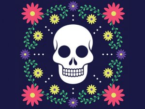 Colorful Skull Jigsaw Puzzle Game