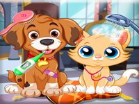Pet Rescue Vet Care