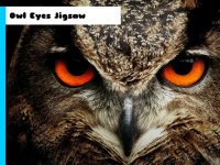 Owl Eyes Jigsaw Puzzle