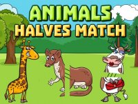 Animal Halves Match Puzzle