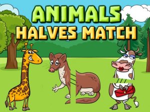 Animals Halves Match Puzzle Game