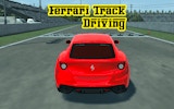 Ferrari Track Driving Simulator