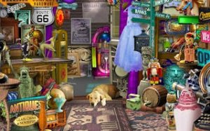 Shop Spotter: Hidden Treasures