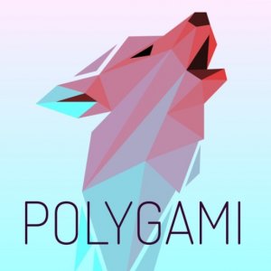 Polygami Shape Assembly Puzzle