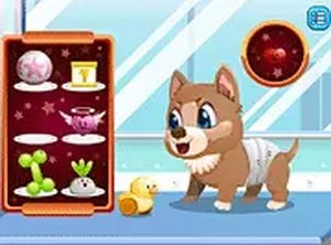 Stray Pup Nurture Journey